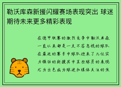 勒沃库森新援闪耀赛场表现突出 球迷期待未来更多精彩表现