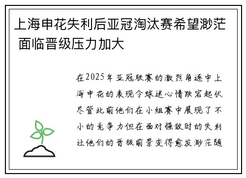 上海申花失利后亚冠淘汰赛希望渺茫 面临晋级压力加大