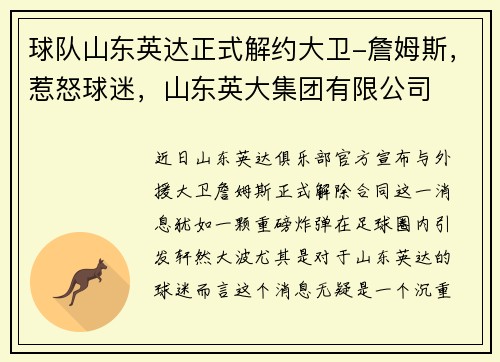 球队山东英达正式解约大卫-詹姆斯，惹怒球迷，山东英大集团有限公司