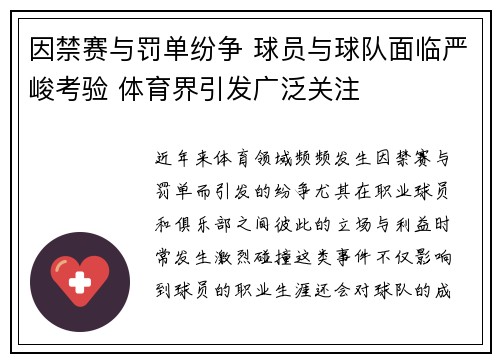 因禁赛与罚单纷争 球员与球队面临严峻考验 体育界引发广泛关注