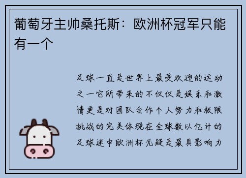 葡萄牙主帅桑托斯：欧洲杯冠军只能有一个